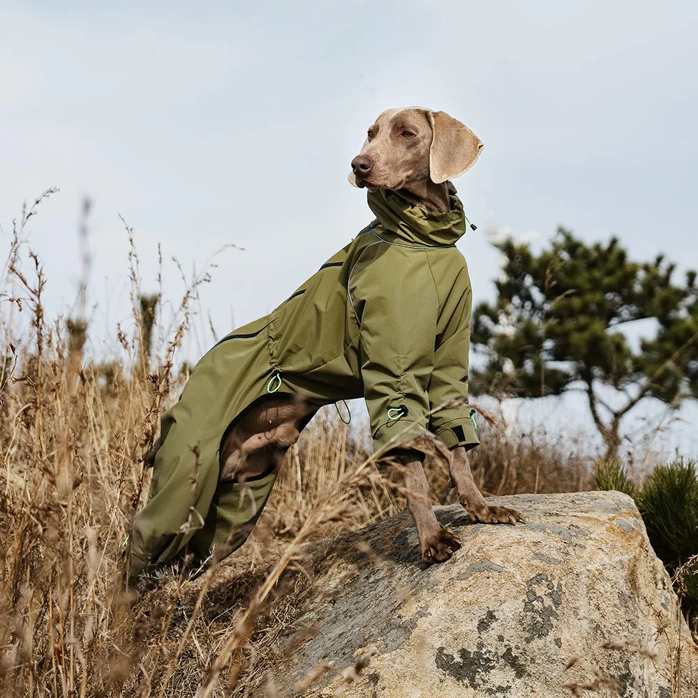 Pet Clothes Sourcing