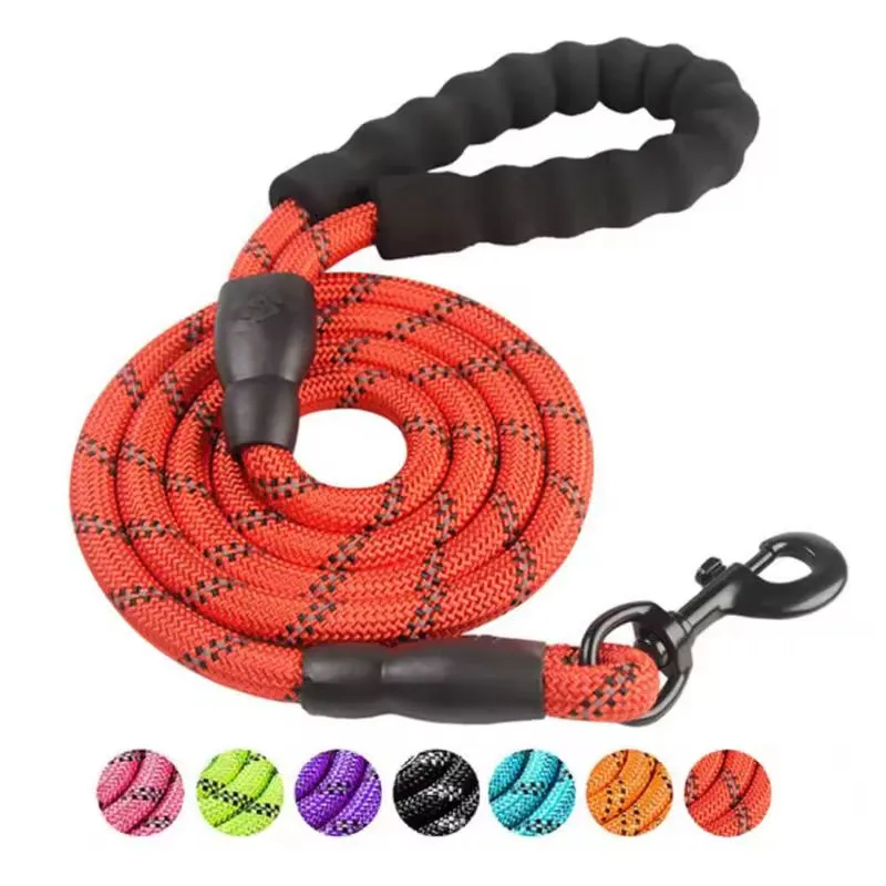 Pet Leash