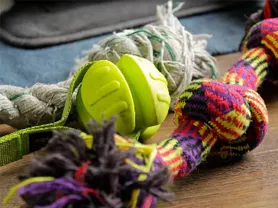 Durability and Construction Integrity