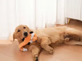 Material Safety & Non-Toxicity Verification